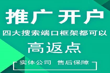 行业领先企业如何运用SEM进行精准营销