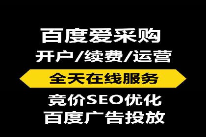 SEM优化策略：案例解读成功之道