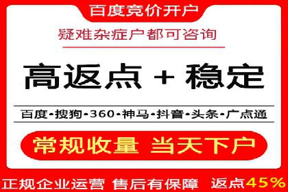 百度竞价SEM深度解析：某行业成功推广经验